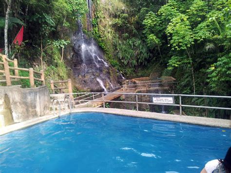 seagull resort davao contact number|Seagull Mountain Resort .
